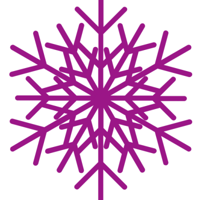noun-snowflake-1011361 noun-snowflake-1011361